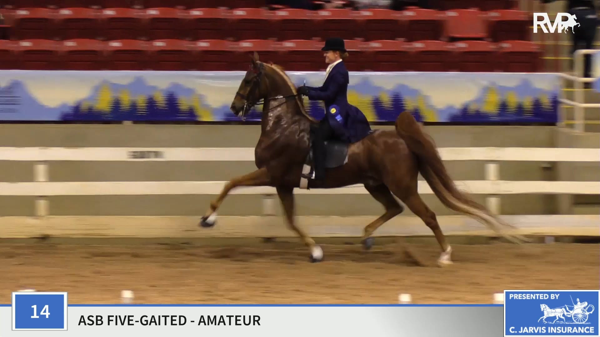 ASC19 - Class 14 -  CH Memories of Cabo