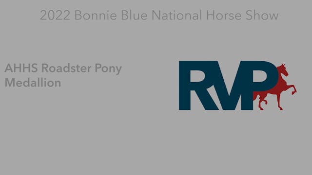 BB22 - Class 66 -  AHHS Roadster Pony...