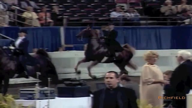 2002 WCHS Class 139 Senior Saddle Sea...
