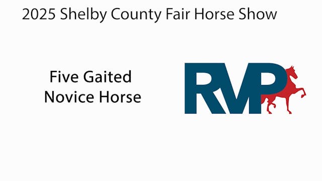 SCF25 - Class 8 - Five Gaited Novice ...