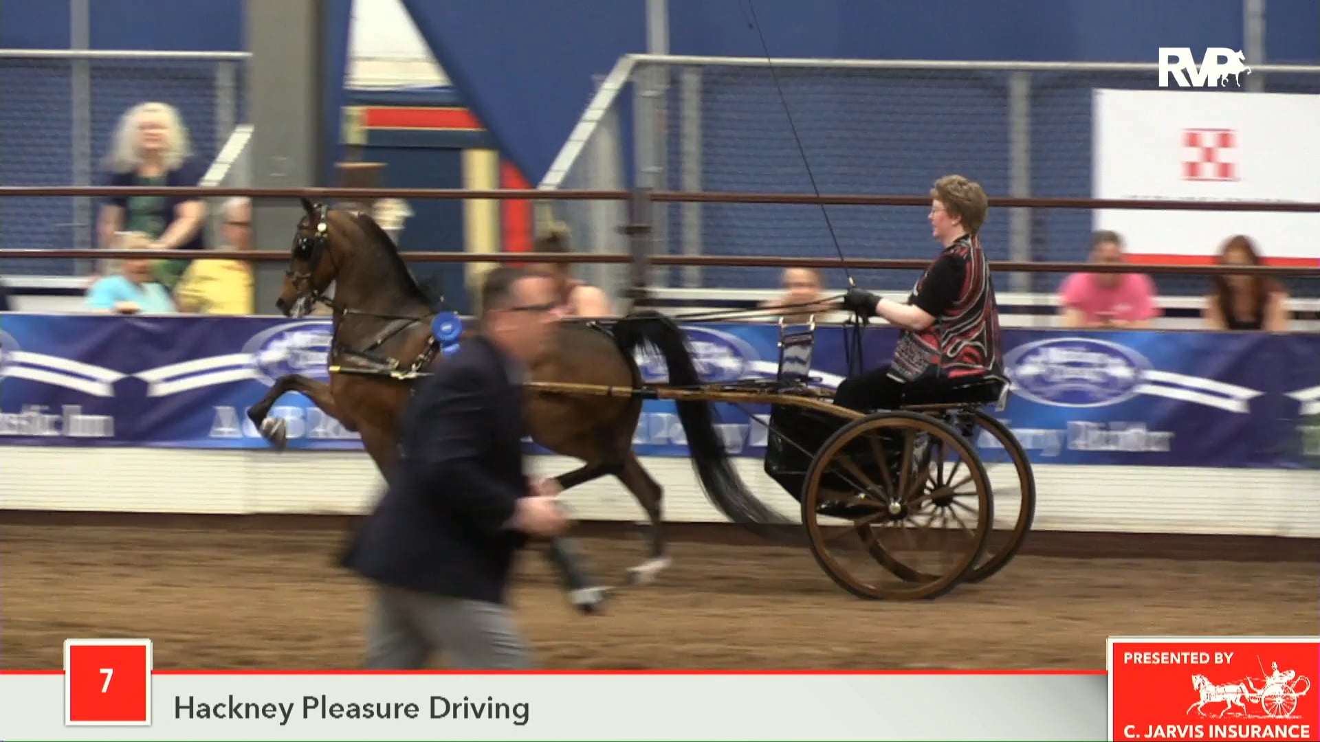 MC18 - Class 7 - Exotica