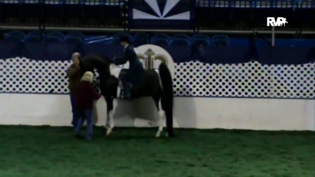 2010 American Royal - 3 Gaited Park -...