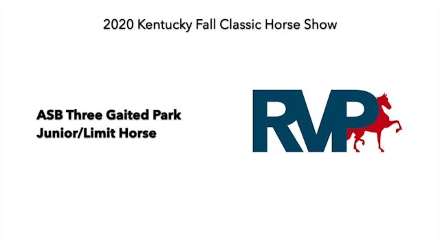 KFC 2020 - Class 6 ASB Three Gaited P...