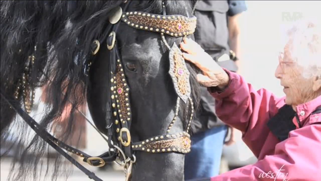 BB16- Saturday Afternoon