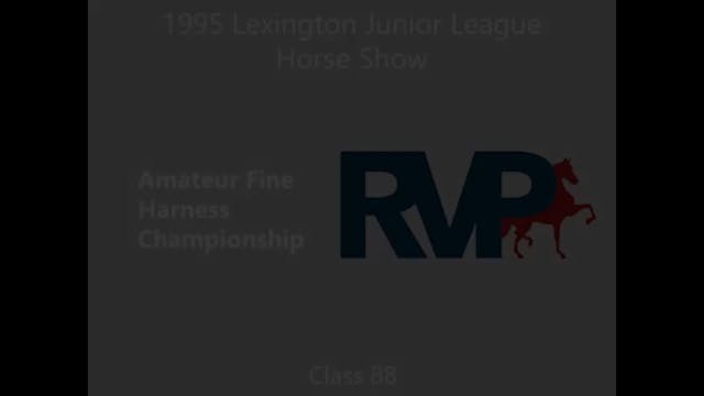 LJL 1995 - Class 88 - Amateur Fine Ha...