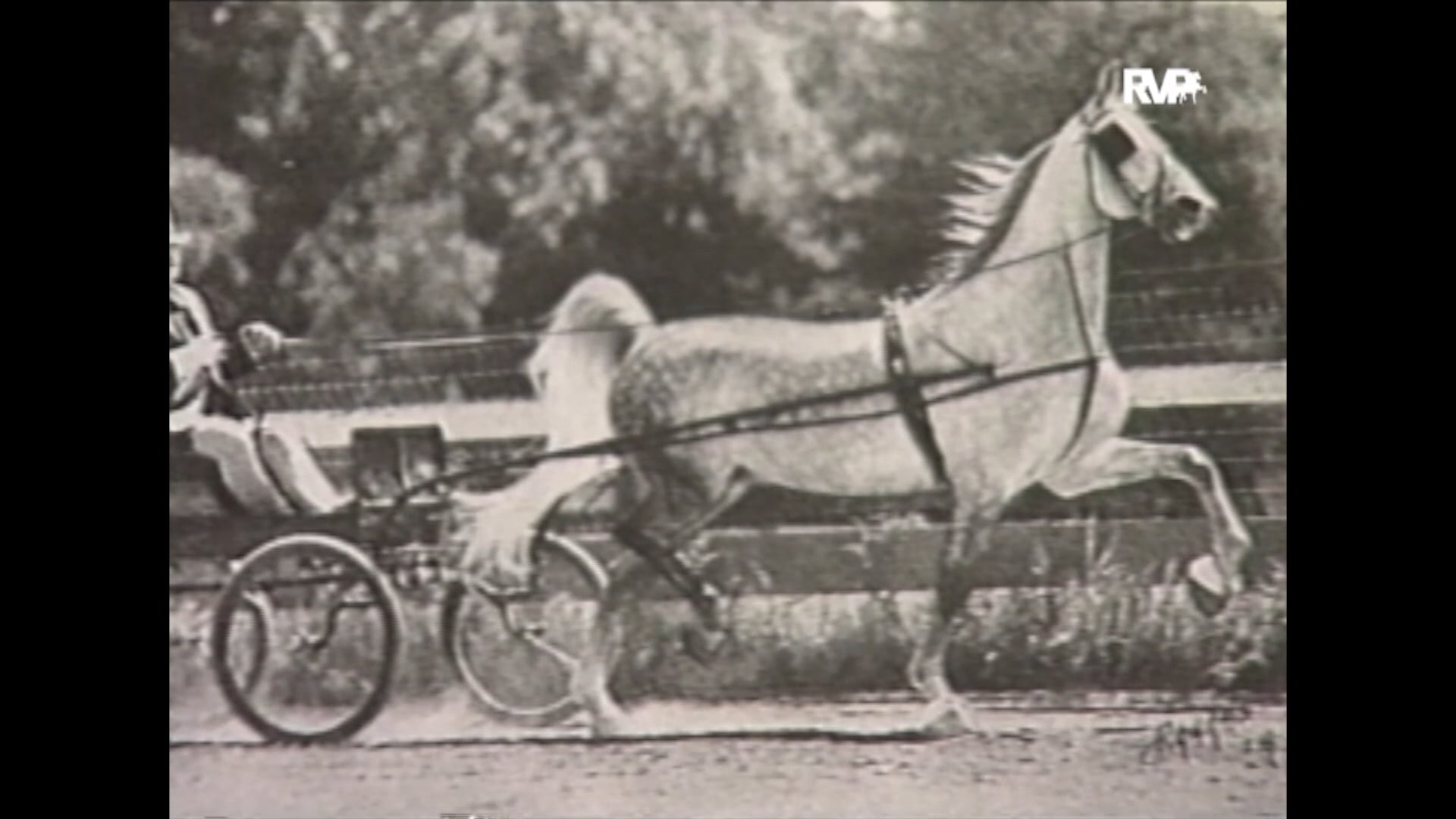 Looking Back on 1991 The American Royal Moves To Kemper Arena