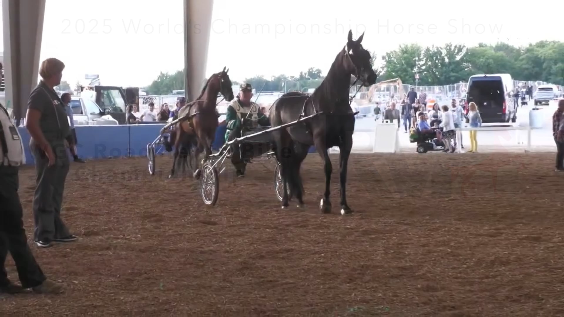 WCHS25 - Class 228 - WGC Roadster to Bike Championship