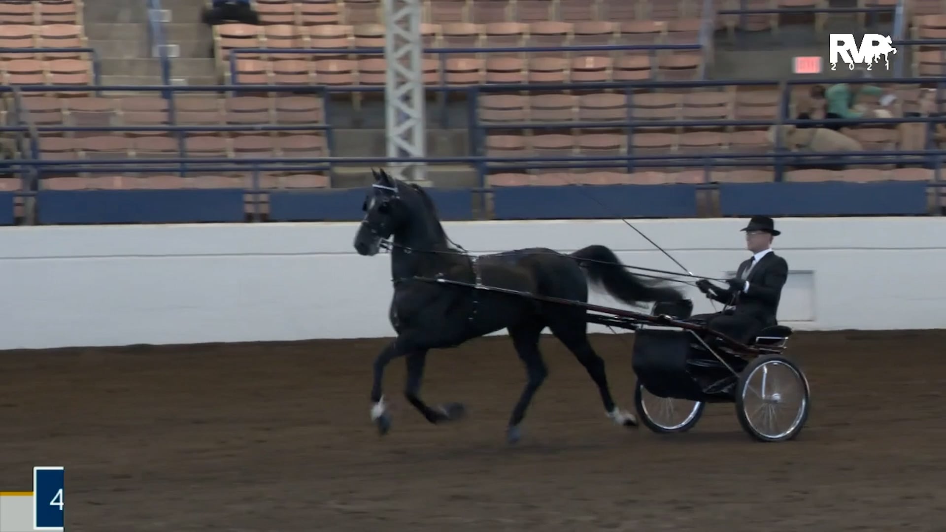 MJ21 - Class 44 - Three Year Old Pleasure Driving