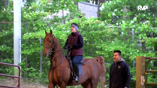 2019 Asheville Saddlebred Classic - W...