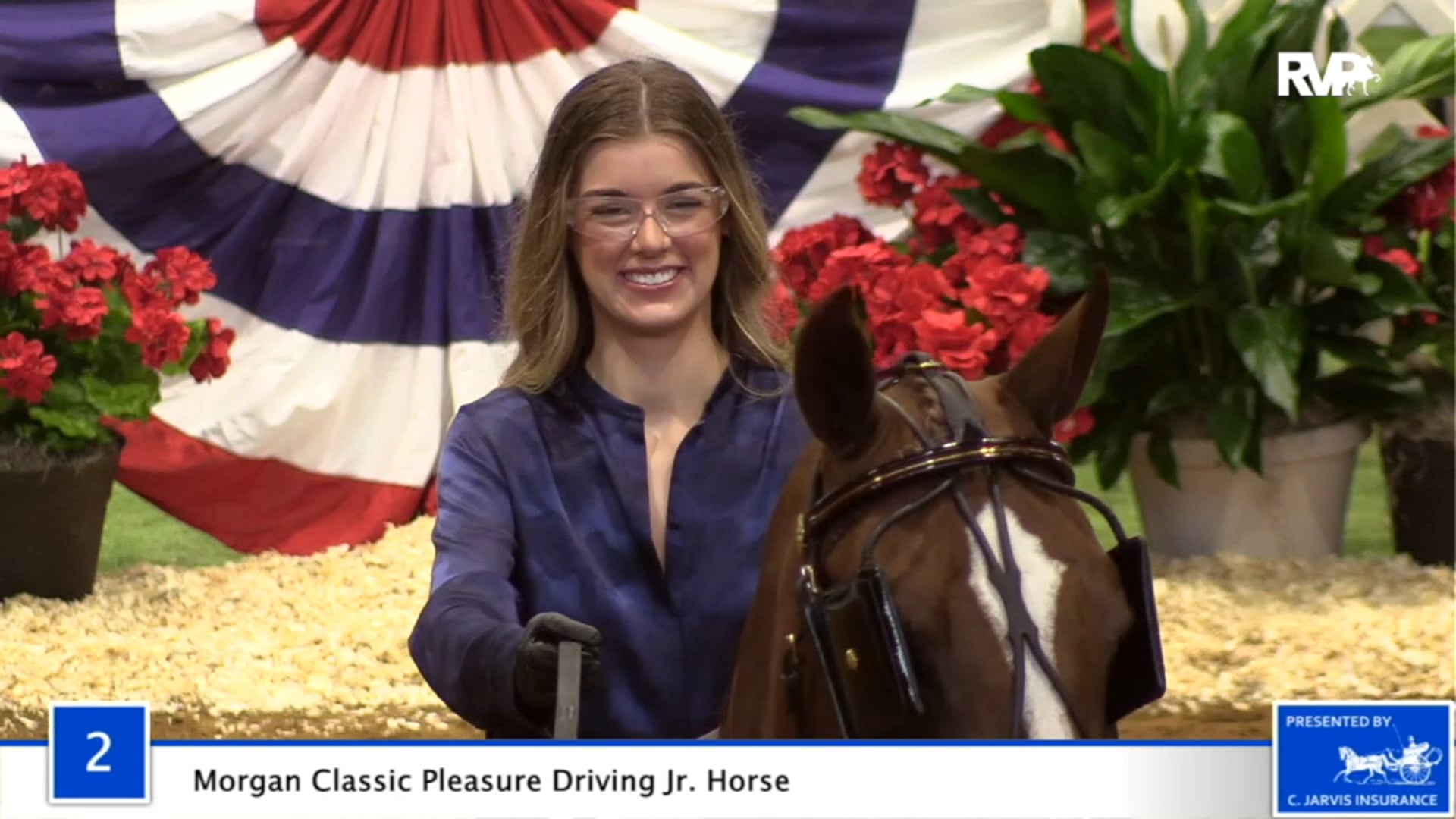 2020 BB - Class 2 Morgan Classic Pleasure Driving
Junior Horse
