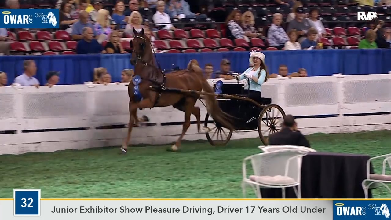 WCHS18 Class 32 - Brookhill's Express Yourself