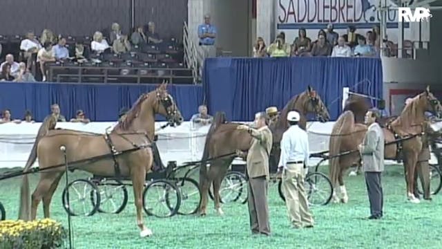 2010 World's Championship Horse Show ...