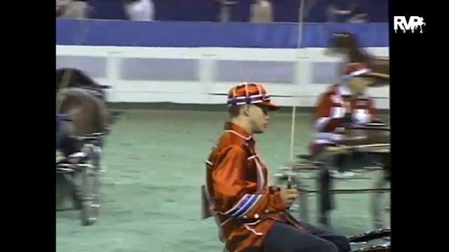 1996 WCHS - Class 100 - Three Year Ol...
