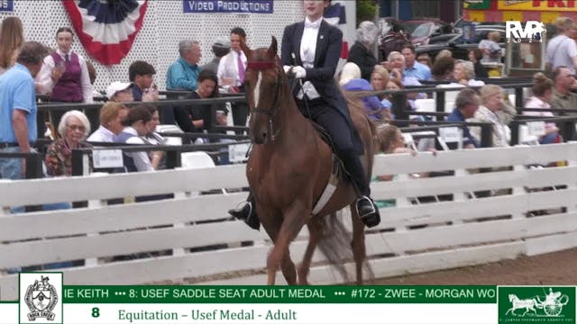 RC24 - Class 8 - USEF Saddle Seat Adu...