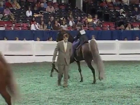 2008 WCHS Class 29 Junior Exhibitor 1...