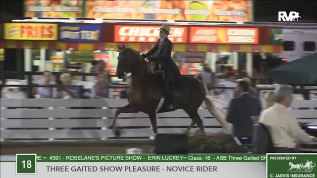2016 RC - Class 18 Three Gaited Show ...