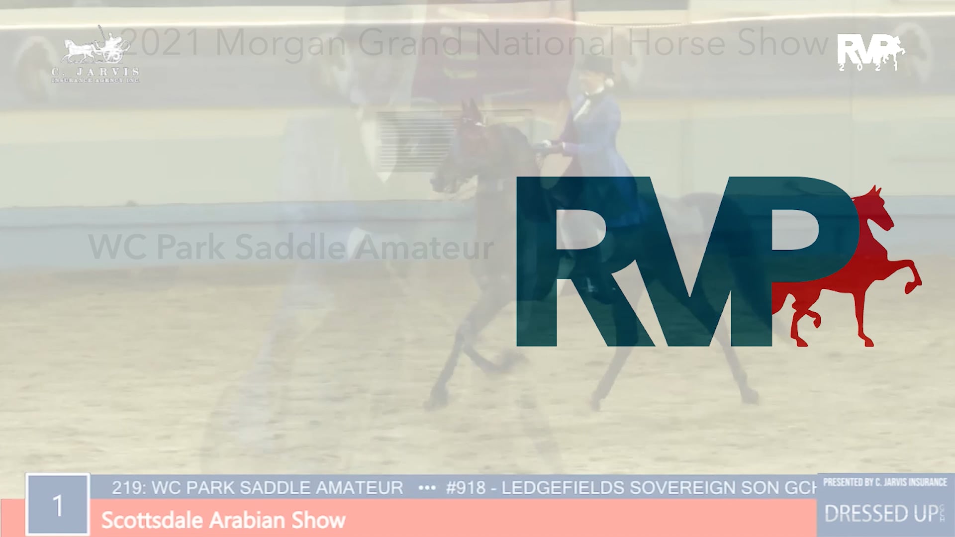 MGN21 - Class 219 - Carol Dawson GCH