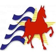 All American Horse Classic