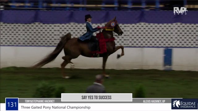 2022 American Royal Horse Show - Satu...