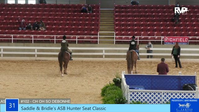 ASW21 - Class 31 - ASB Saddle & Bridl...