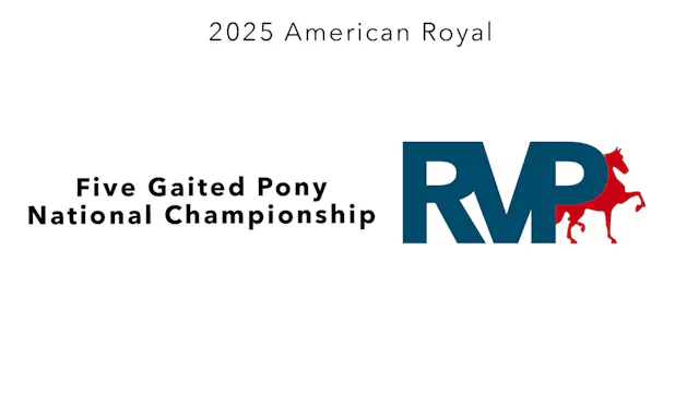 KC25 - Class 144 - Five Gaited Pony N...