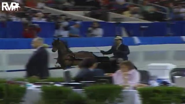 2004 World's Championship Horse Show ...