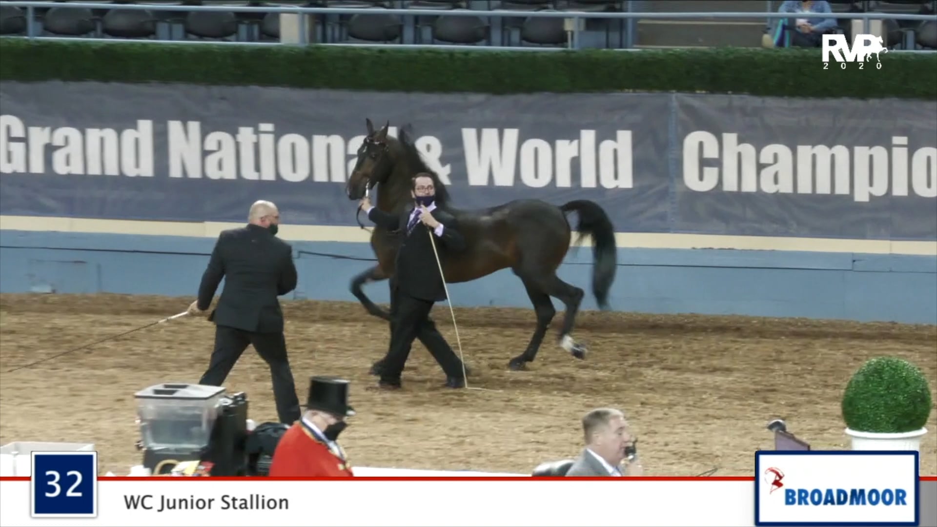 2020 MGN - Class 32 WC Junior Stallion