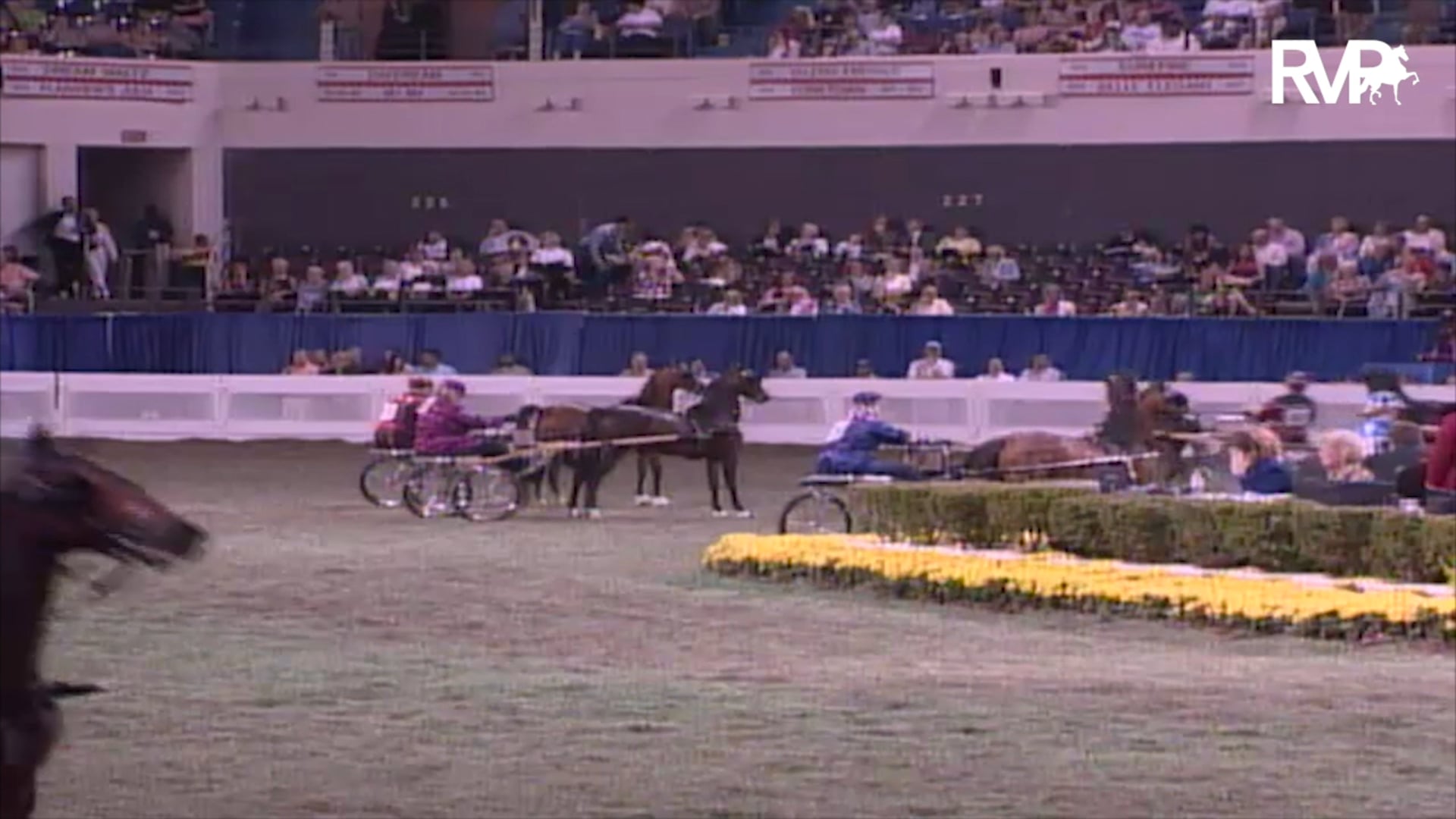 2003 WCHS Class 201 Amateur Roadster Pony Championship