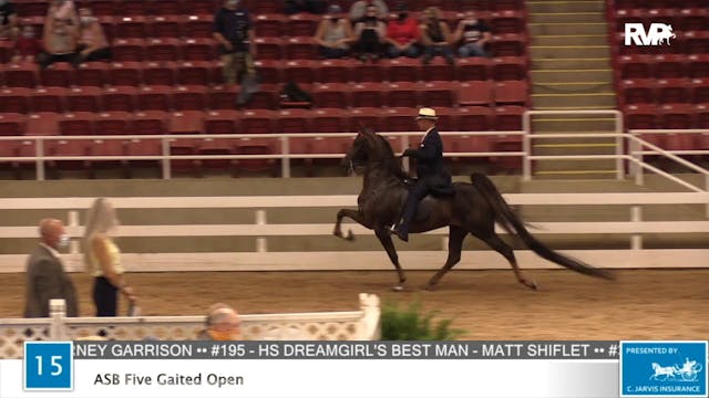 2020 ASF - Class 15 ASB Five Gaited Open