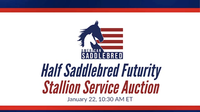 2022 ASHBA Half Saddlebred Futurity S...