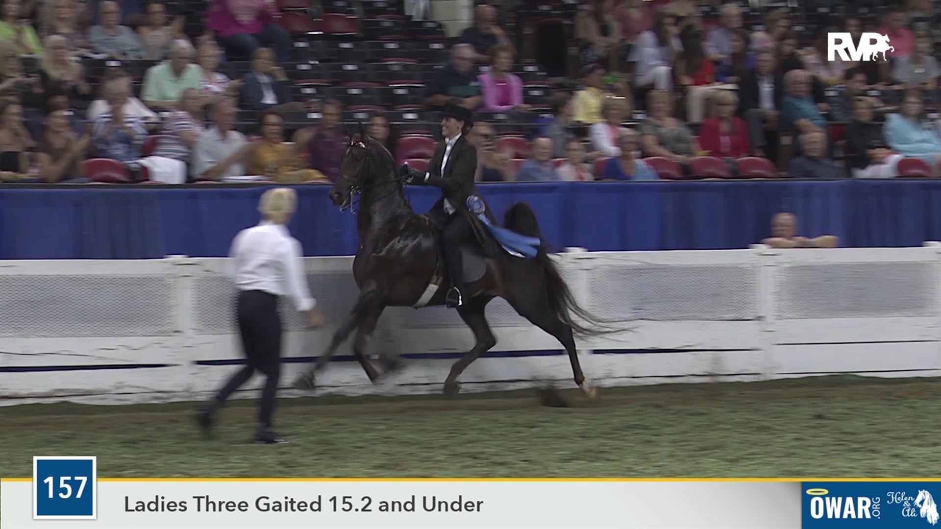 WCHS19 - Class 157 - Callaway's How About Now-