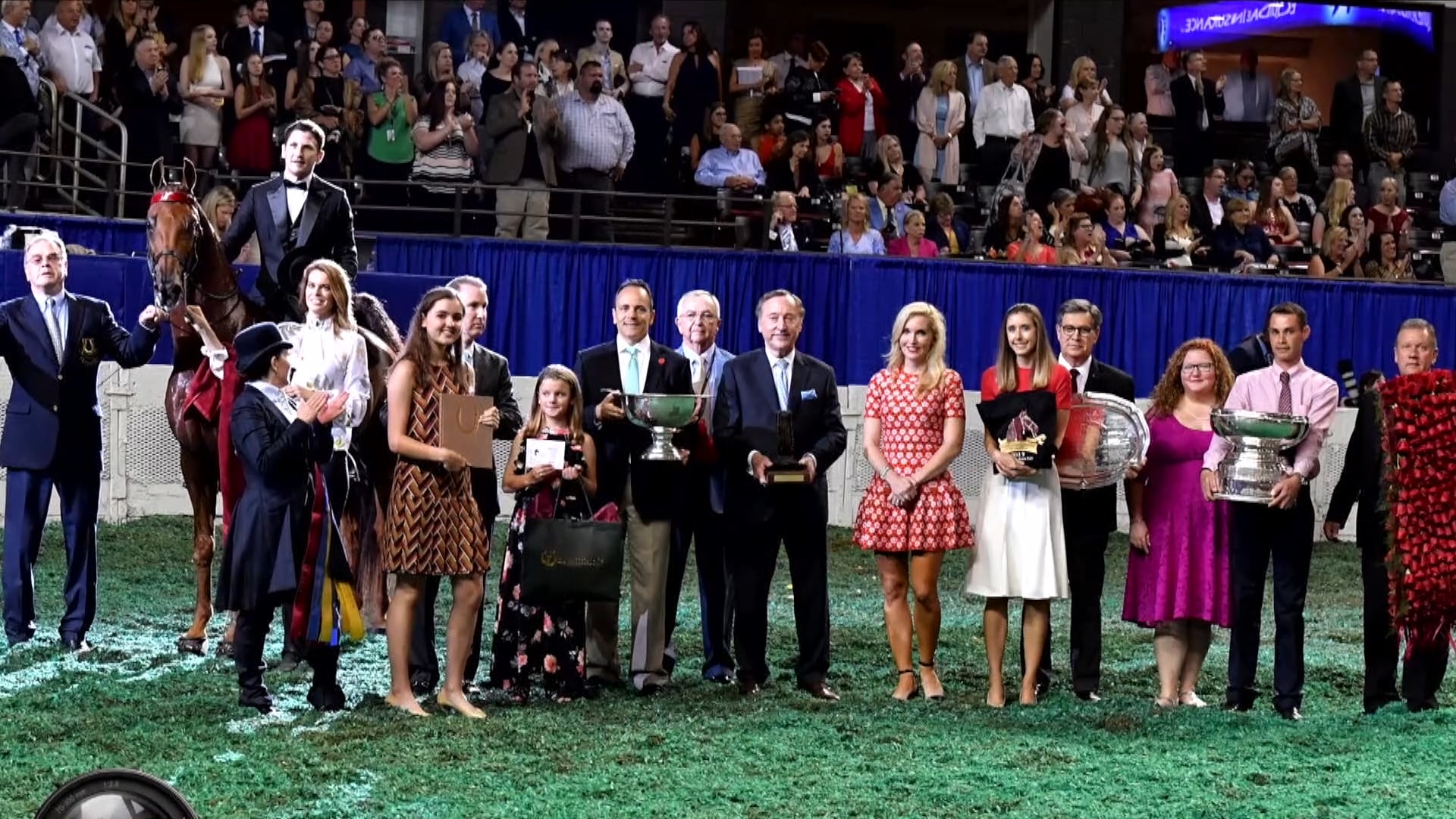 CH The Daily Lottery - ASHA Horse of the Year