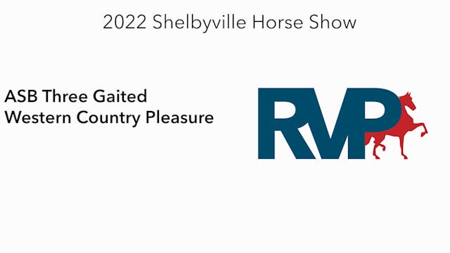 SHS22 - Class 14 -  ASB Three Gaited ...