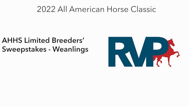 AAC22 - Class 73 -  AHHS Limited Bree...
