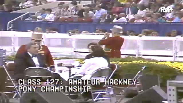 1991 WCHS Class 127 Amateur Hackney P...