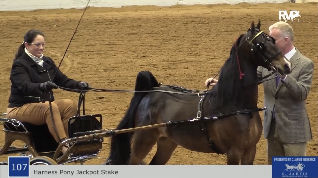 BB21 - Class 107 - Harness Pony Jackpot Stake
