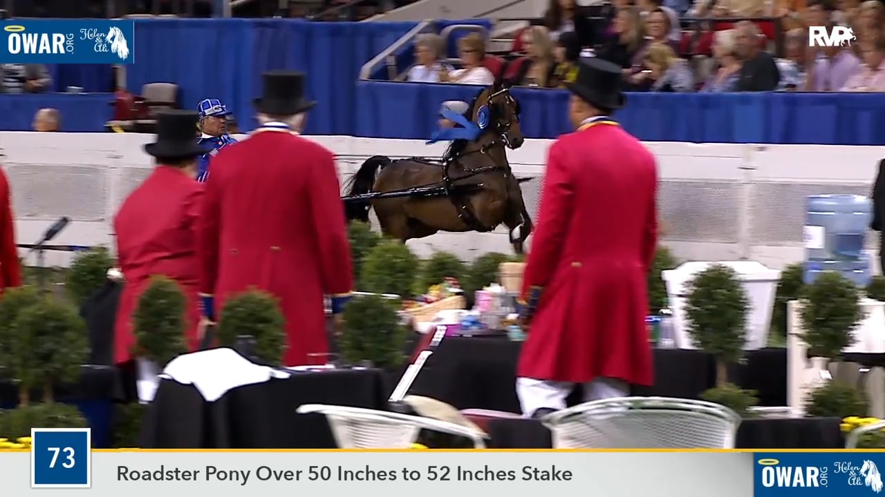 WCHS18 Class 73 - Prime Time's Choice LF