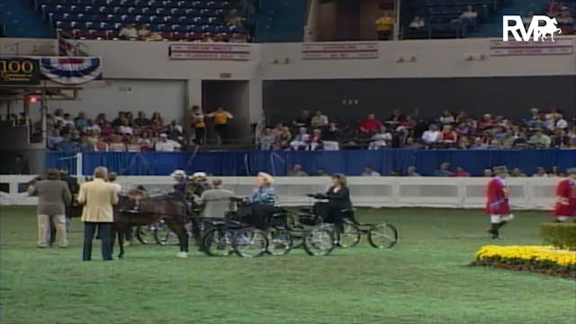 2003 WCHS Class 50 Harness Pony Mare ...