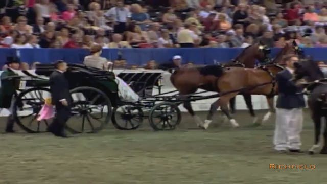 2002 WCHS Class 179 Hackney Harness P...