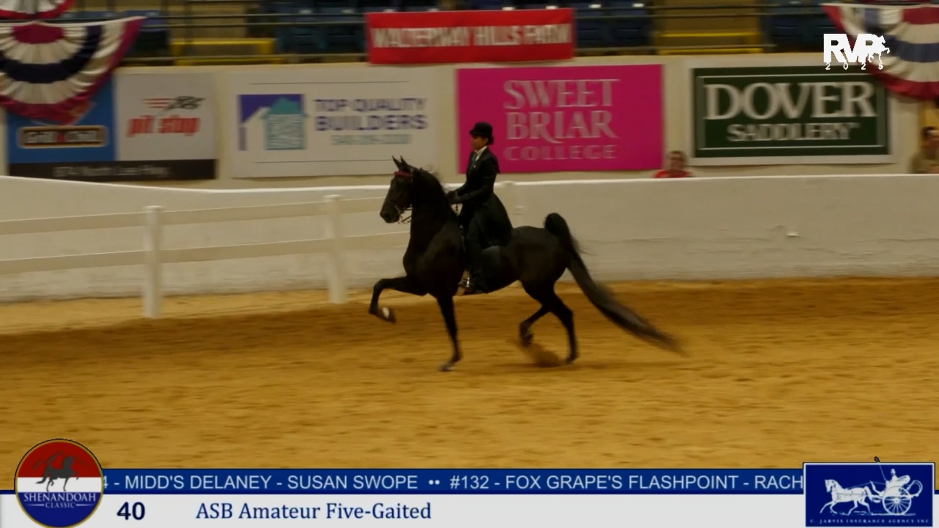 SC25 - Class 40 - ASB Amaetur Five Gaited