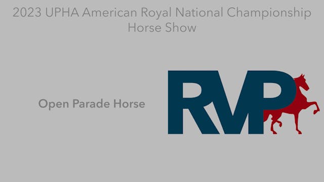 AR23 - Class 99 - Open Parade Horse