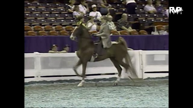 1999 WCHS - Class 26 Three Gaited Pon...