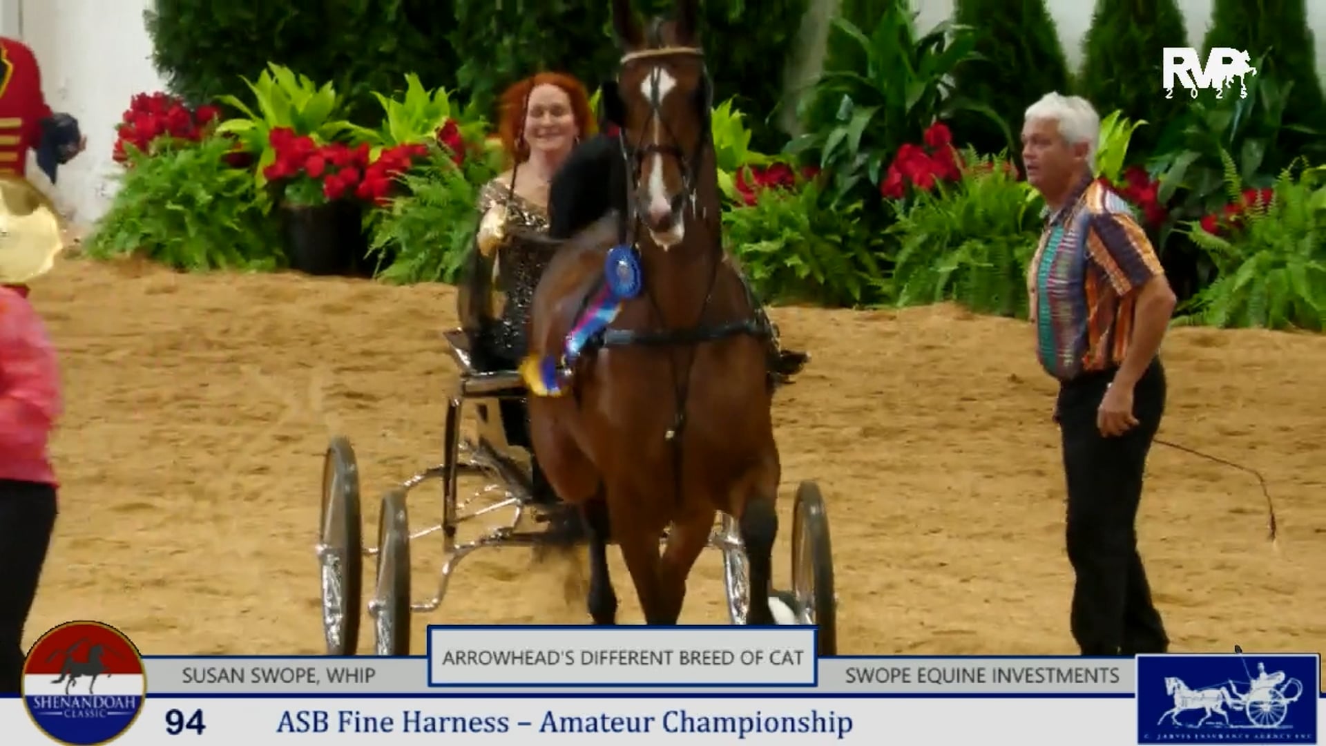 SC25 - Class 94 - Arrowhead's Different Breed of Cat and Susan Swope, Whip