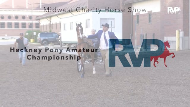 MW24 - Class 163 - Hackney Pony Amate...