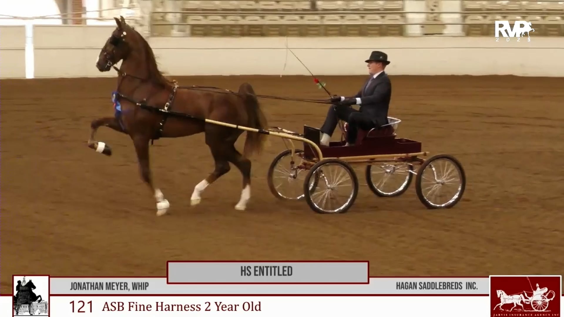 2025 Midwest Charity Horse Show - Saturday Morning 