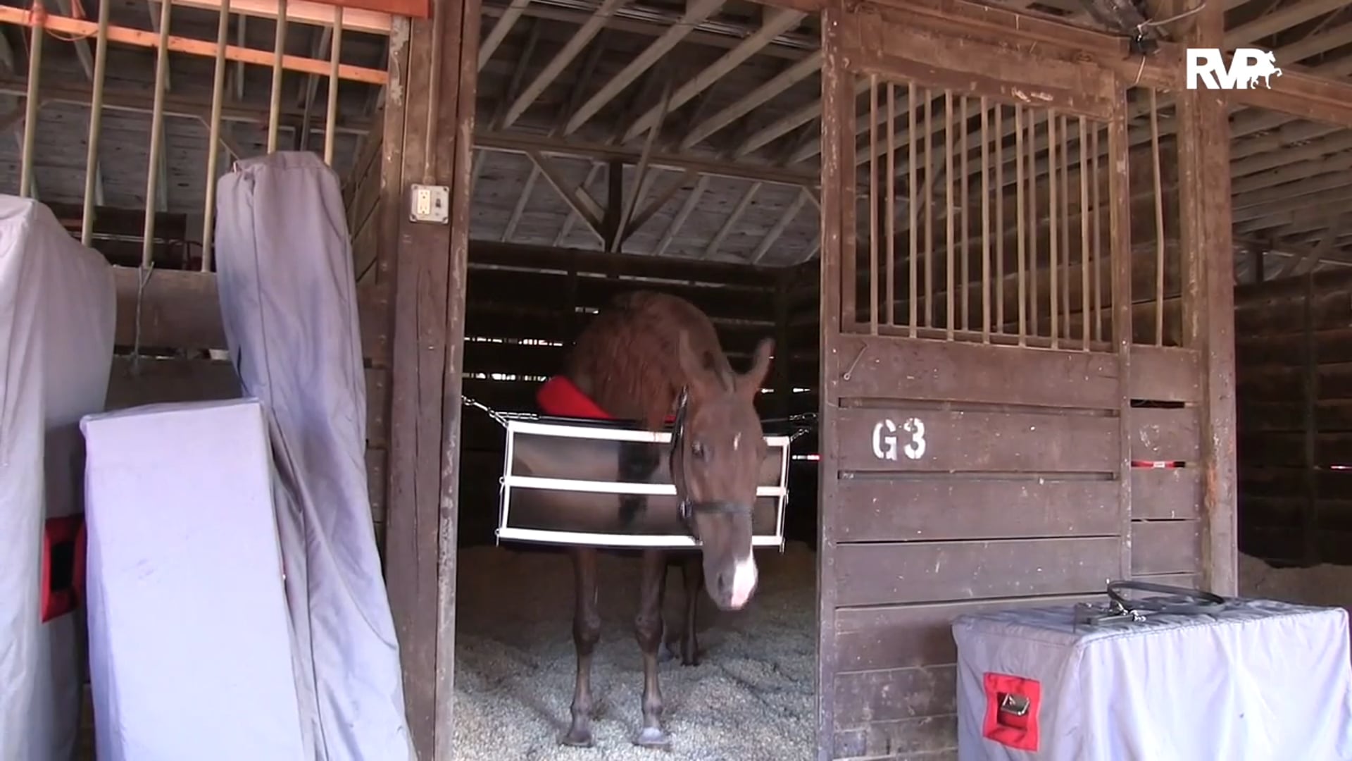 WCHS15 - Shipping In - Sabotage