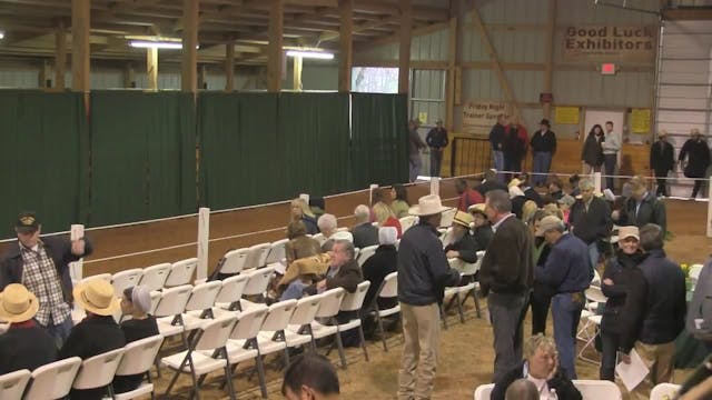 2014 Robertson Equine Sale - Spring -...