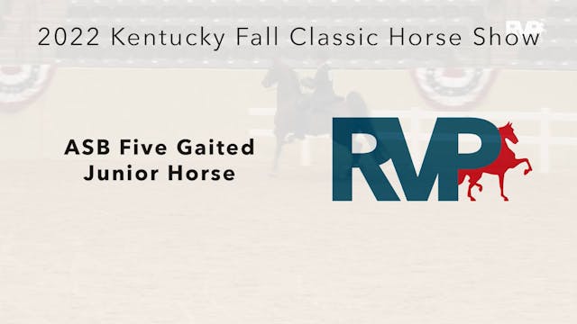 KYFC22 - Class 28 - ASB Five Gaited J...