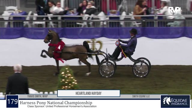 AR23 - Class 179 - Harness Pony Natio...