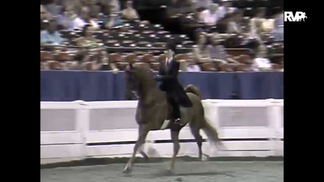 1997 WCHS - Class 60 Equitation - Ope...